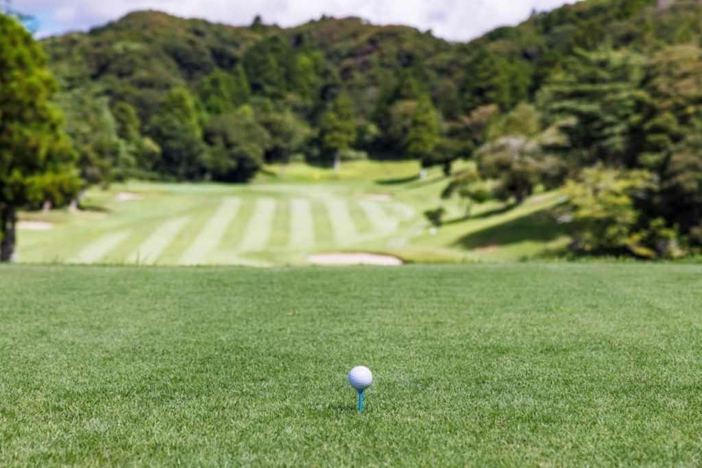 The Future of Our Fairways