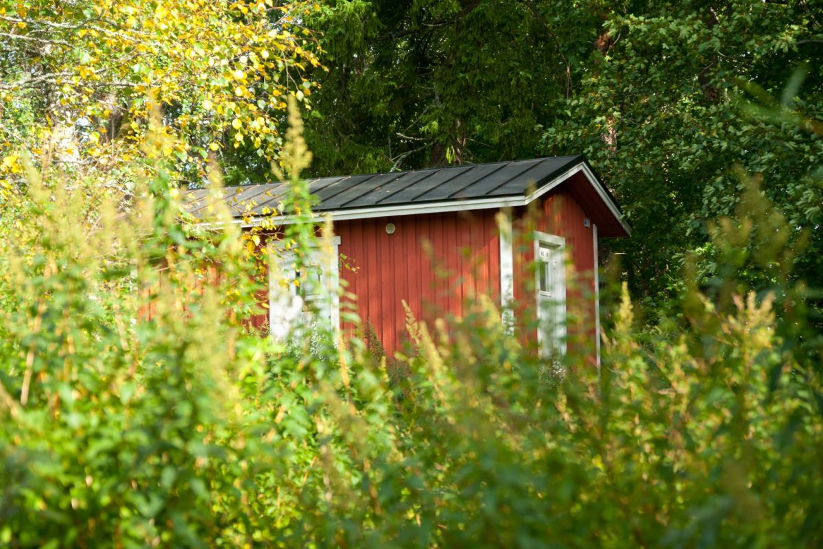 Small red wooden cabin surrounded by dense green foliage and trees