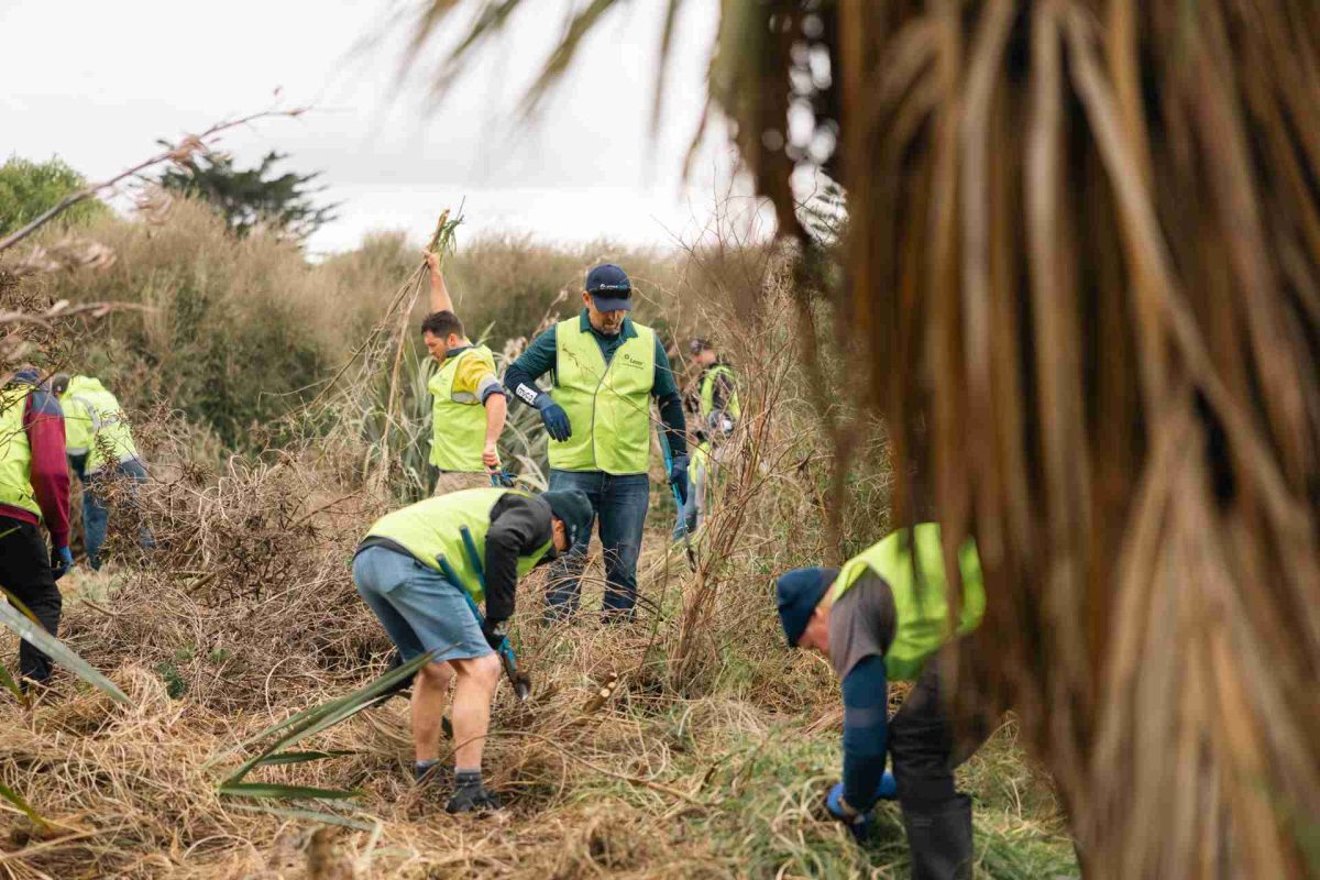 Volunteers in green vests clearing weeds and plants during a community clean-up