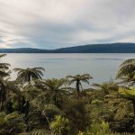 Should we see nature as infrastructure?