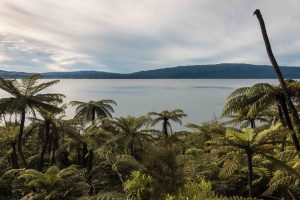 Should we see nature as infrastructure?