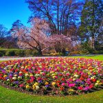 Coordinating Canterbury’s infrastructure