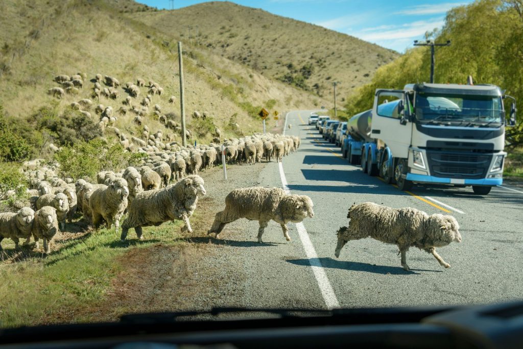 Truckers demand higher payloads