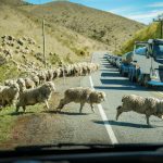 Truckers demand higher payloads