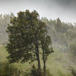 Sector braces for Cyclone Vaianu