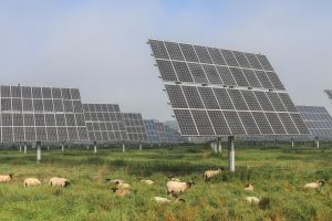 Turning sunshine into energy security