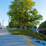 Why urban trees matter
