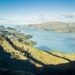 Dane Ambler on backing New Zealand-made