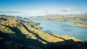 Dane Ambler on backing New Zealand-made