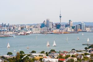 Where Auckland grows next