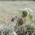 How building sites feel the deep freeze