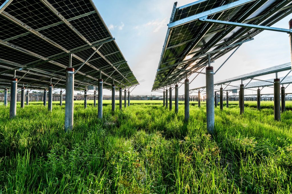 Nation’s largest solar farm switches on, again