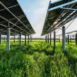 Nation’s largest solar farm switches on, again