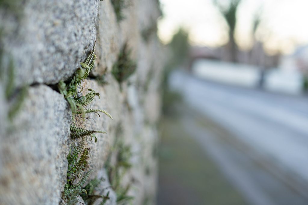 Retaining walls on seismic sites
