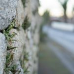 Retaining walls on seismic sites