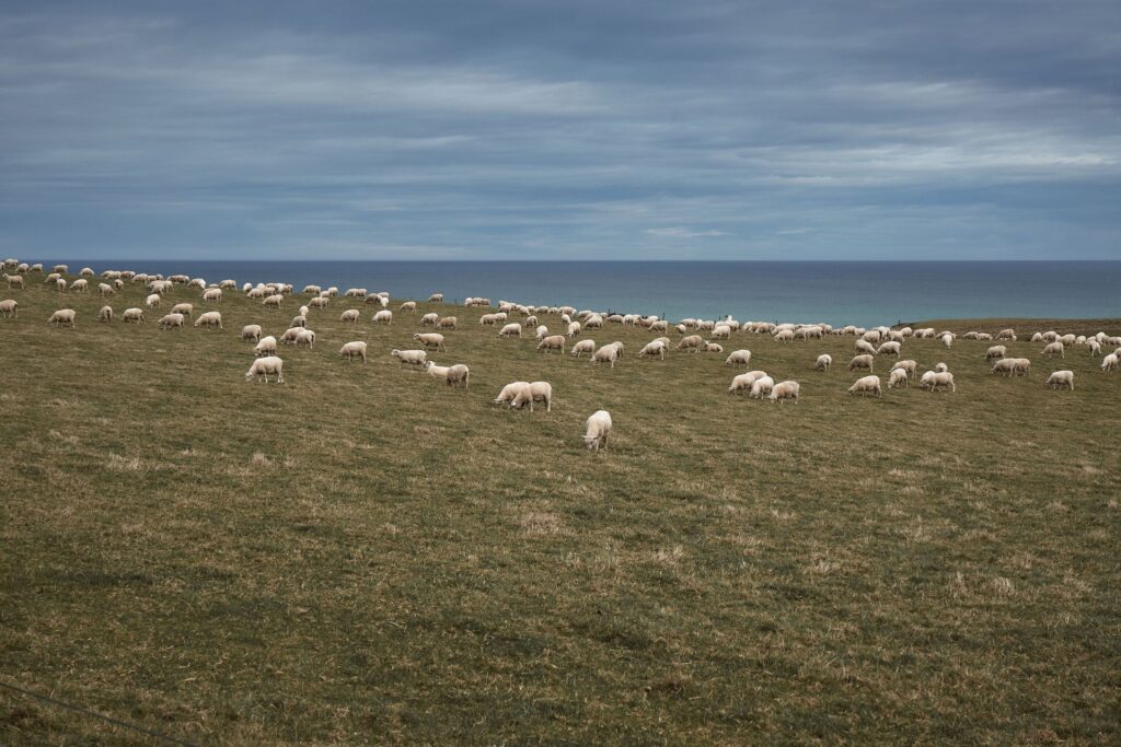 Farmers are working past 65. Who takes over the farm?
