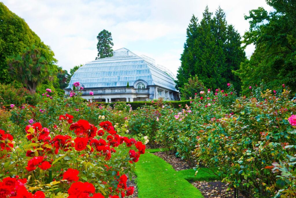 Ten outstanding finalists put landscaping skill on show in Christchurch